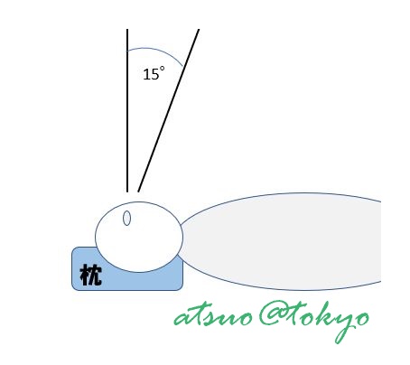 寝起きに違いを実感できる枕 Technogel Sleeping Contour Pillow Iiのレビュー ジグソー レビューメディア