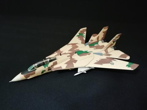 表紙のイラン空軍F-14模型(エアファイターコレクションより)