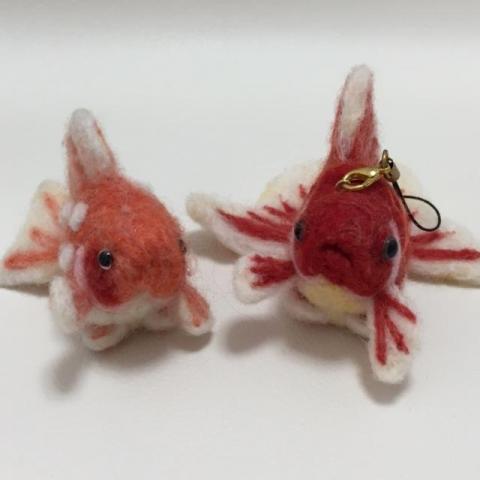 ピンポンパール（左）　琉金魚（右）