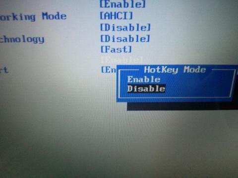 BIOSで機能キーをファンクションキーに変更できた