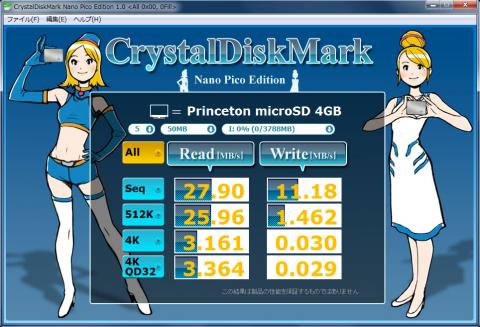 Princeton microSD 4GB