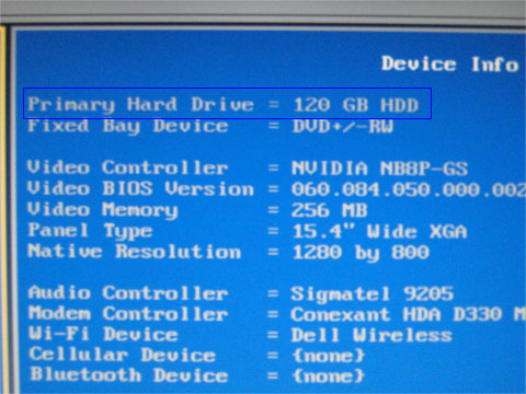 SSDがHDD120GBとして認識されている