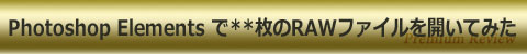 Photoshop Elements で**枚のRAWファイルを開いてみた