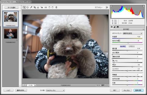 RAW画像読込画面