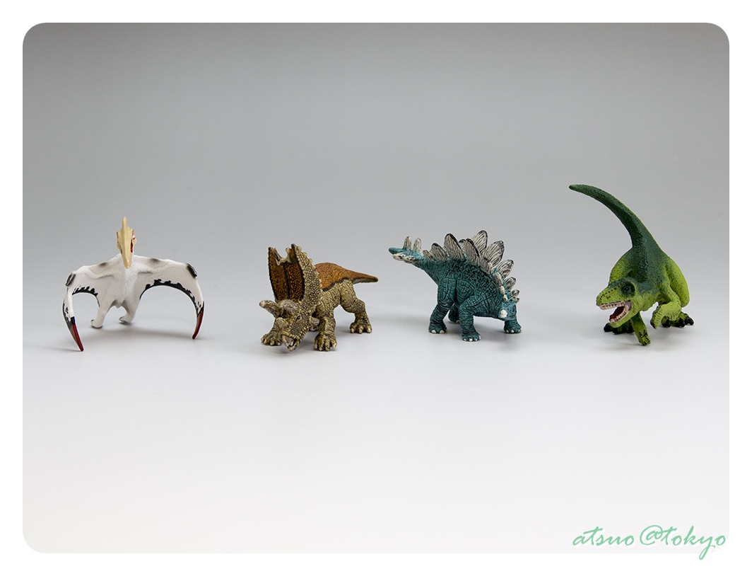 無性に恐竜フィギュアが欲しくなって購入 Schleich シュライヒ社フィギュア ミニ恐竜とジオラマパズルセット 森林ゾーン Mini Dinosaurs With Discovery Puzzleのレビュー ジグソー レビューメディア