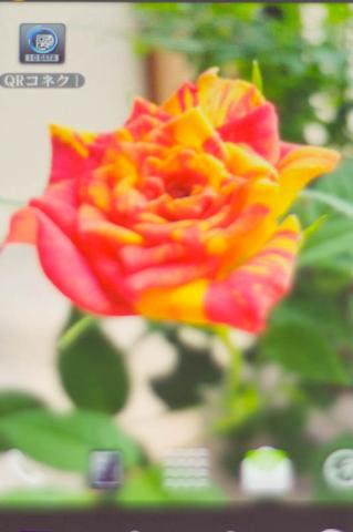 QRコネクト 1