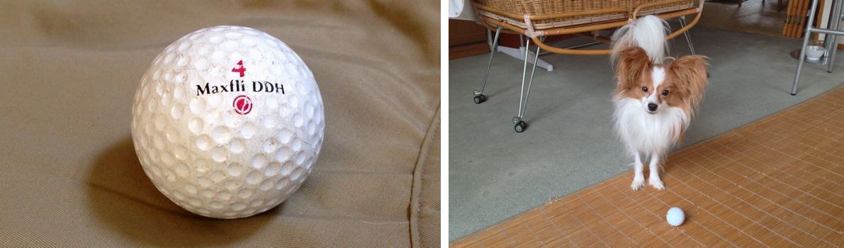 ゴルフはしないのに ゴルフボール Maxfli Ddh 赤 のレビュー ジグソー レビューメディア