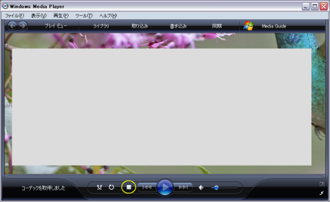 コーデック取得後、ローカルのWMPによって再生された