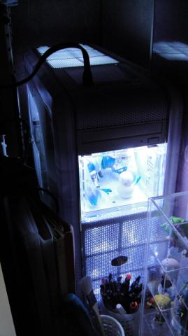 img.php?filename=mi_107146_1316354173_22