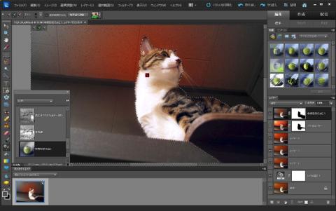 中央をカラフル