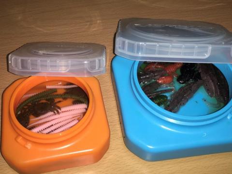 新着ワーム 保管 魚のすべて 新着ワーム 保管 魚のすべて