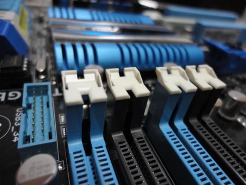 爪なしバージョン。