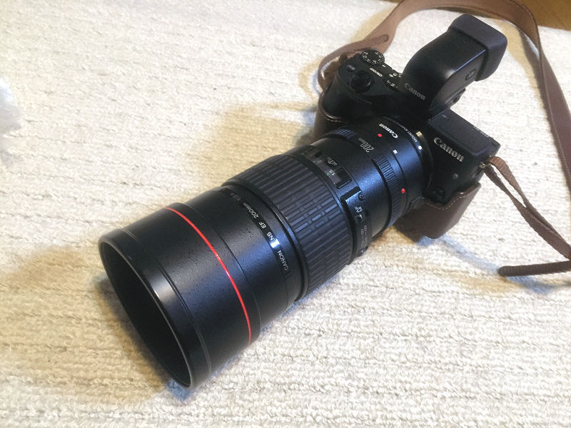 単焦点Lレンズの撒き餌といわれた名作 - Canon EF200mm F2.8L USMの 