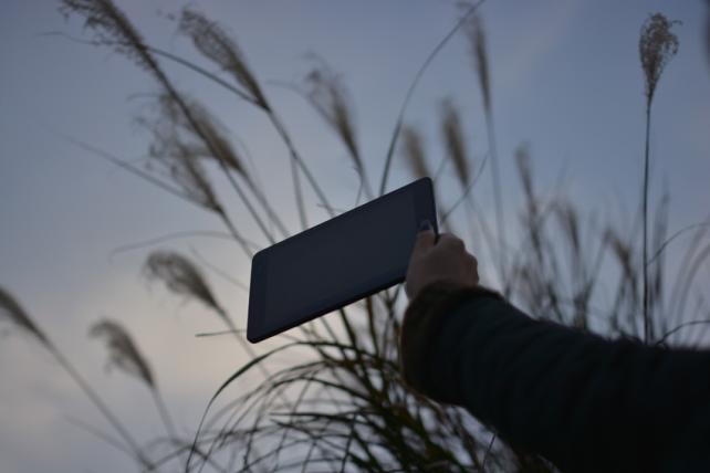 暗くなるまで、