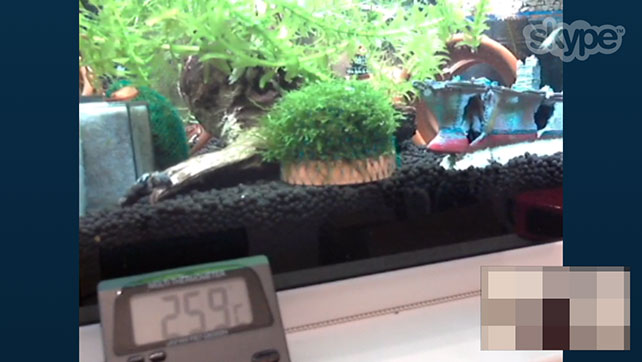 お出かけ時の監視カメラとして