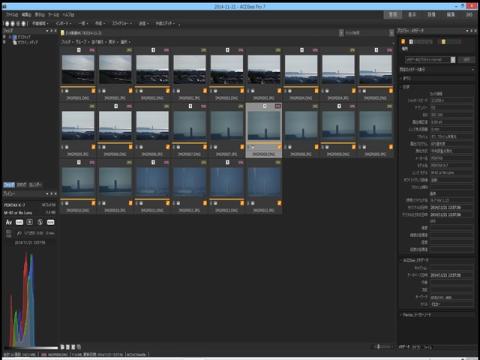ファイル形式でRAW+JPEGを分けた後、ラベルを付けて名前順に戻してみました