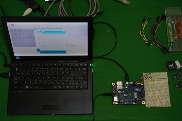 LinuxMint16@VAIO X11