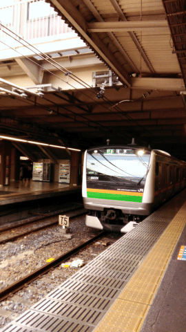 実際に作成したアニメーション GIF