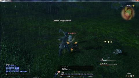 FF14プレイ画面3