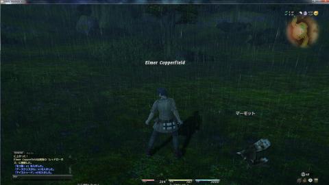 FF14プレイ画面4