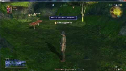 FF14プレイ画面7