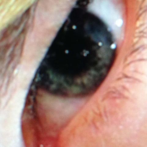 1366 x 768のMacBook Air 11インチに表示させ、スクリーンをスマホ撮影