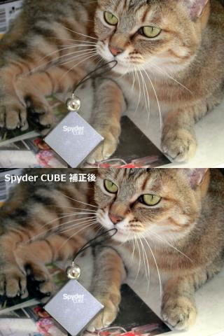 Spyder CUBE