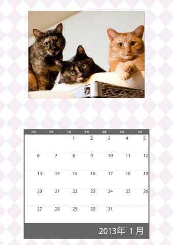 2013_01.jpg