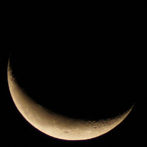 ちなみにこちらはSonyのα33本体が書き出したJPEGファイルを切り抜いてPNGで保存したもの。輪郭部分のディテールが飛んでしまっている