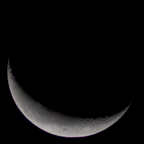 こちらはPhotoShop Elements 10のCamera Rawで現像したもの