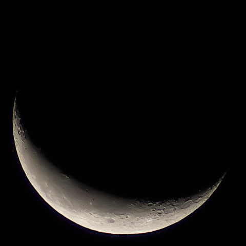 こちらはSILKYPIX Developer Studio Pro 5で現像したもの