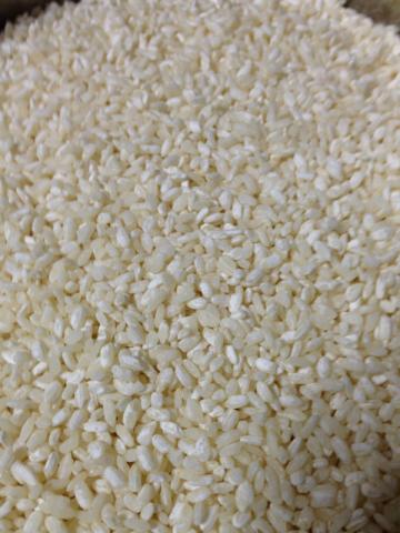 出来上がった糀