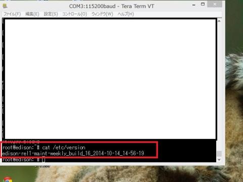 最新バージョン