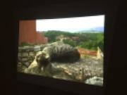 再生中のプロジェクター側(著作権対策のためモザイクかけてます)