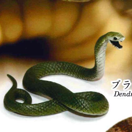 世界一危険な毒ヘビ 不思議生物大百科 毒牙の暗殺者 毒蛇 4 ブラックマンバ タカラトミーアーツ ガチャポンのレビュー ジグソー レビューメディア