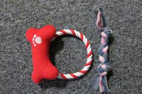 首にかけられる ダイソー 犬のおもちゃのレビュー ジグソー レビューメディア