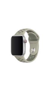 Apple Watch 40mmケース用スプルースフォグ/ビンテージライケン