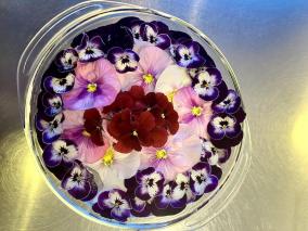 浮かせ花 ジグソー レビューメディア 浮かせ花 ジグソー レビューメディア