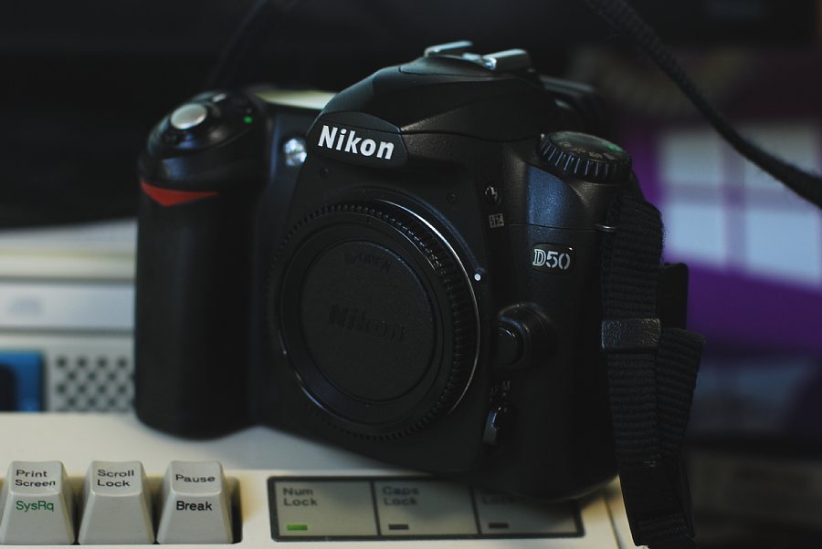 現役です - Nikon D50のレビュー | ジグソー | レビューメディア