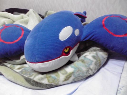 画像 カイオーガがほーのぼーのになって登場 カイオーガ ほーのぼーのぬいぐるみのレビュー ジグソー レビューメディア