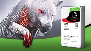 Seagate IronWolf 10TB ~NASとRAIDに最適なタフさ、対応性、拡張性~