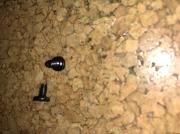 ODD PLATEと取り付けネジ