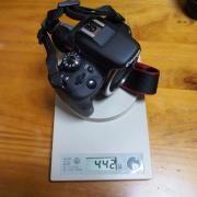 ボディ単体でも・・・