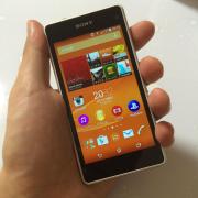 収まりのいい大きさ