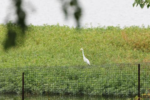 何見てんだよ 560mm