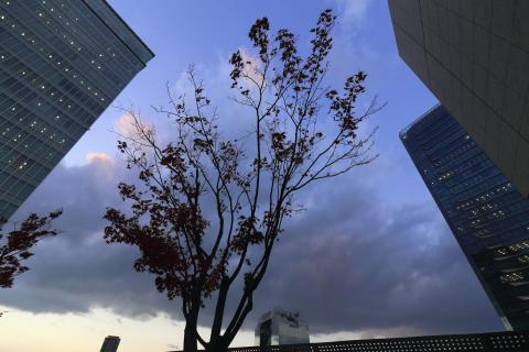 EOS6D f4 ss1/250 AVモード