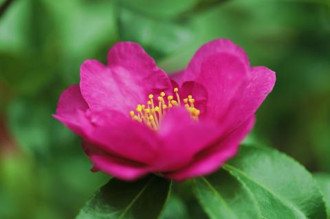 6D F2.8 ISO100 SS1/80