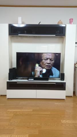 Panasonic TH-49FX750