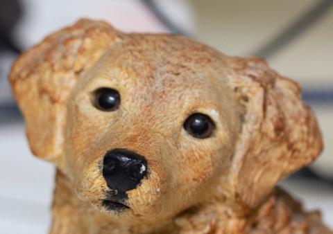 単焦点EF100㎜+純正リングアダプター