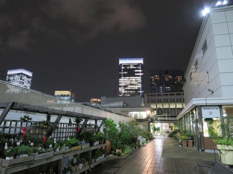 AUTOモード、1/30秒、f/1.8、ISO 800